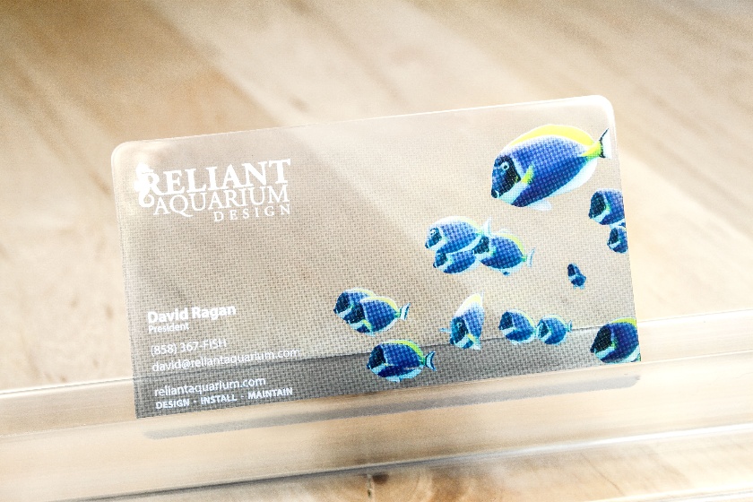 Aquarium Marketing Aquarium Membership, Gift Card & More